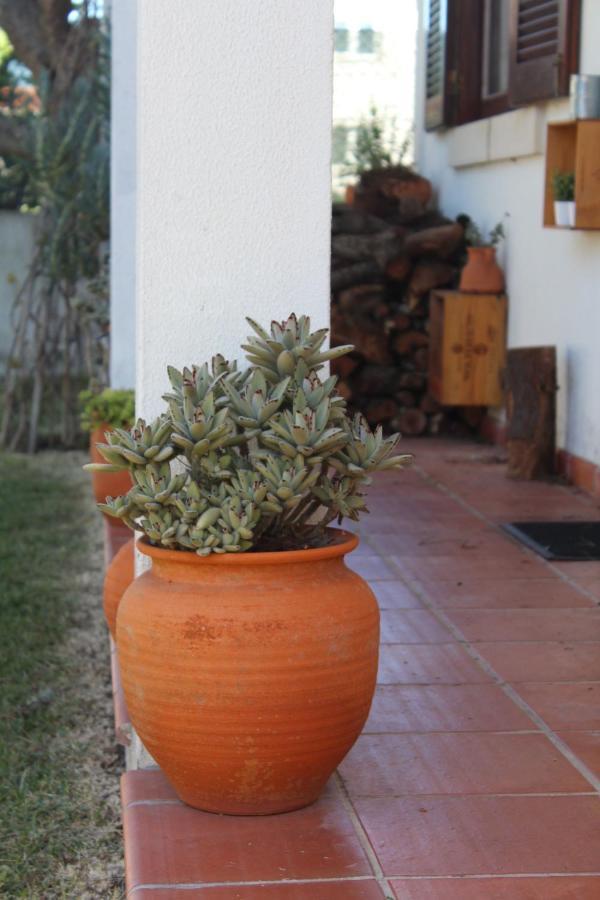 Areias Santa Cruz Beach House מראה חיצוני תמונה