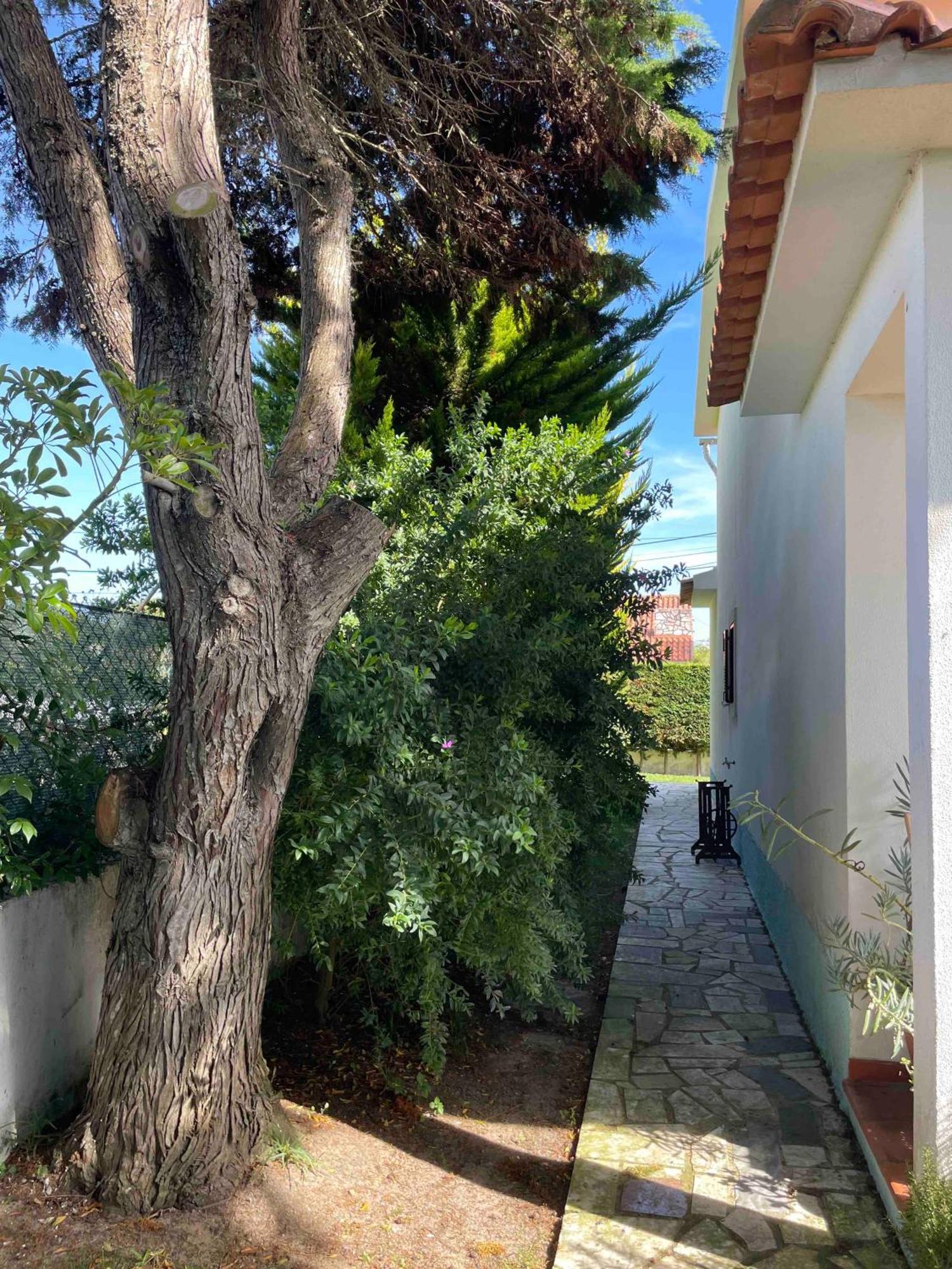 Areias Santa Cruz Beach House מראה חיצוני תמונה